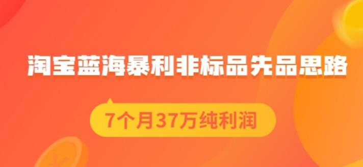 盗坤淘宝蓝海暴利非标品先品思路，7个月37万纯利润，压箱干货分享！【付费文章】-创想网