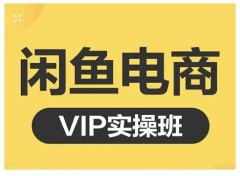 闲鱼电商零基础入门到进阶VIP实战课程，帮助你掌握闲鱼电商所需的各项技能-创想网