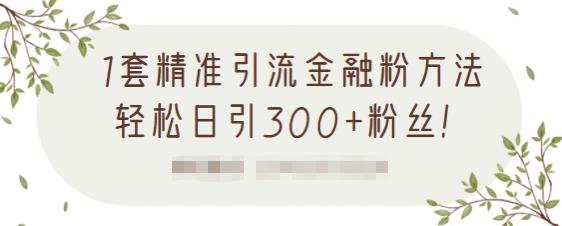 1套精准引流金融粉方法，轻松日引300 粉丝【视频课程】-创想网
