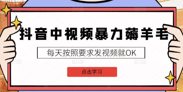 2022抖音中视频暴力薅羊毛白嫖项目：新号每天20块，老号几天几百块，可多号-创想网
