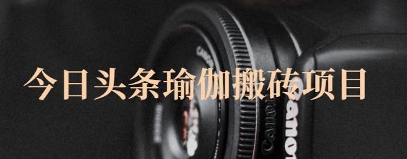 猎人社区·今日头条瑜伽搬砖项目，单号一天几十收入，可以批量操作！-创想网