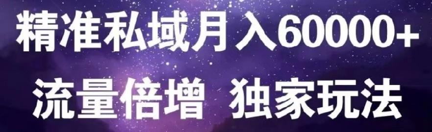 原力网赚精准私域月入60000 ,流量倍增独家玩法-创想网