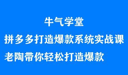 牛气学堂拼多多打造爆款系统实战课，老陶带你轻松打造爆款-创想网