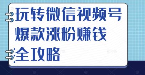 玩转微信视频号爆款涨粉赚钱全攻略，让你快速抓住流量风口，收获红利财富-创想网