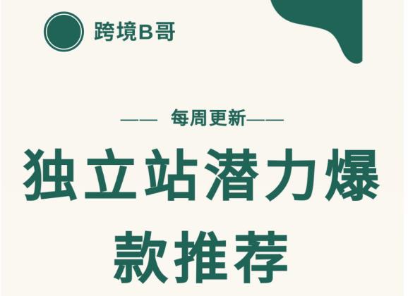 【跨境B哥】独立站潜力爆款选品推荐，测款出单率高达百分之80（每周更新）-创想网