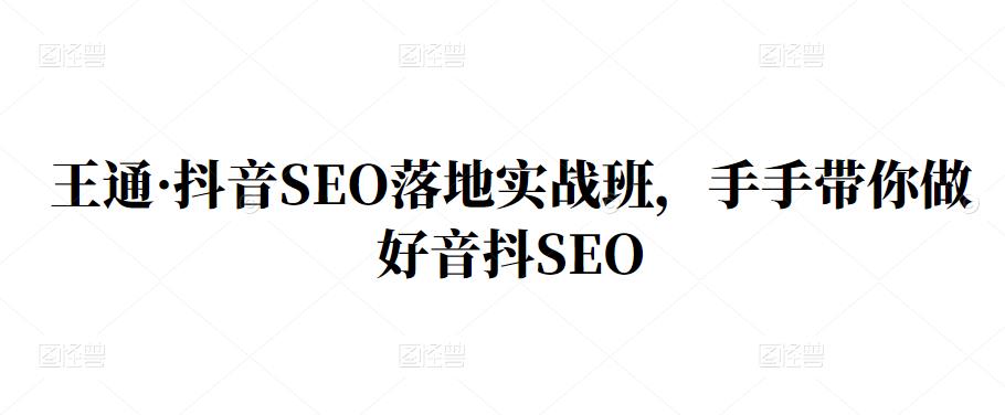 王通·抖音SEO落地实战班，手‬手带你做好音抖‬‬SEO-创想网