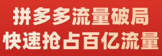 阿杰·拼多多流量破局:如何打黑标，爆款的思路，拼多多流量框架，快速抢占百亿流量-创想网