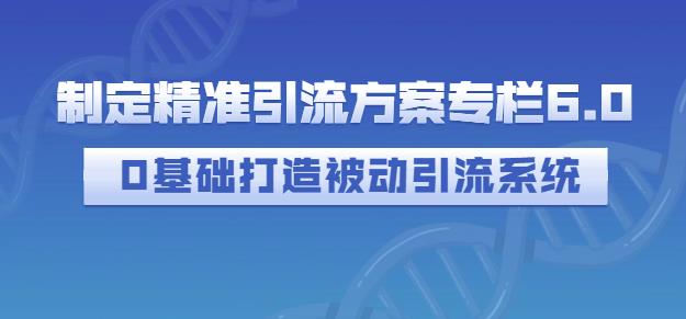 制定精准引流方案专栏6.0，0基础打造被动引流系统-创想网