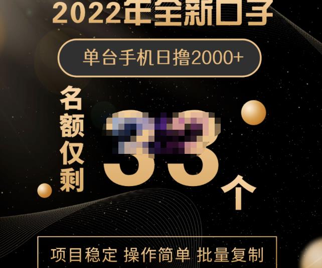2022年全新口子，手机批量搬砖玩法，一部手机日撸2000-创想网