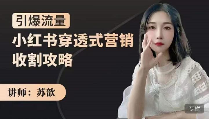 小红书穿透式营销收割攻略，引爆流量，助你玩转小红书-创想网