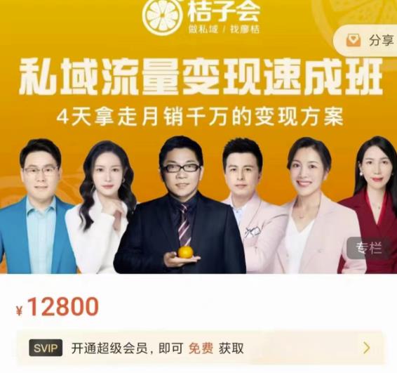 桔子会·私域流量变现速成班，4天拿走月销千万的变现方案 价值12800元-创想网