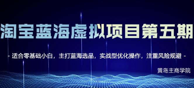 淘宝虚拟无货源3.0 4.0 5.0，适合零基础小白，主打蓝海选品，实战型优化操作-创想网