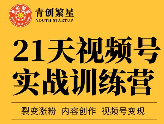 张萌21天视频号实战训练营，裂变涨粉、内容创作、视频号变现 价值298元-创想网