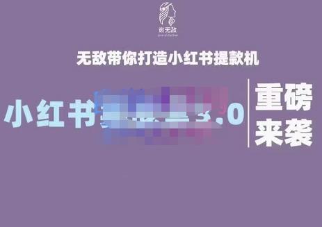 谢无敌·小红书实战营3.0，无敌带你打造小红书提款机 价值7999元-创想网