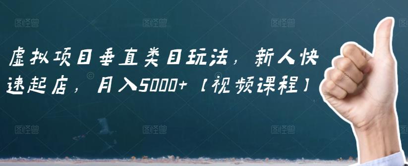 虚拟项目垂直类目玩法，新人快速起店，月入5000 【视频课程】-创想网