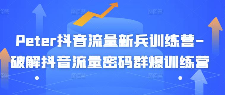 Peter抖音流量新兵训练营-破解抖音流量密码群爆训练营（新兵）-创想网