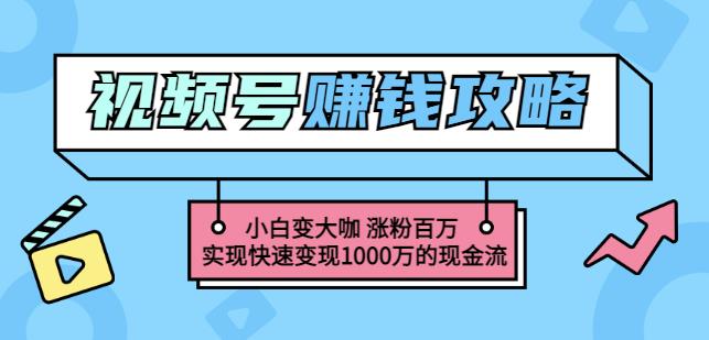 玩转微信视频号赚钱：小白变大咖涨粉百万实现快速变现1000万的现金流-创想网