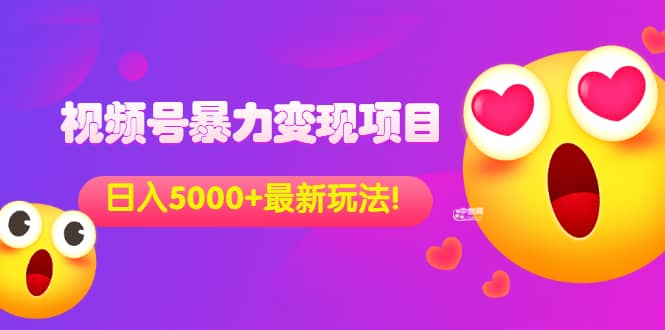 外面收费699的视频号暴力变现项目，日入5000 ，简单易操作当天见效果-创想网