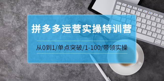 拼多多运营实操特训营：从0到1/单点突破/1-100/带领实操 价值2980元-创想网
