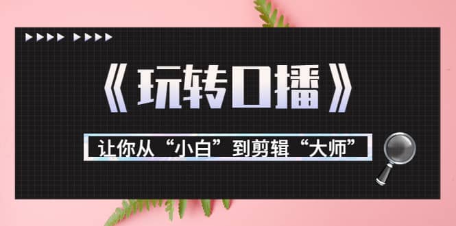 月营业额700万 大佬教您《玩转口播》让你从“小白”到剪辑“大师”-创想网