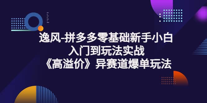 拼多多零基础新手小白入门到玩法实战《高溢价》异赛道爆单玩法实操课-创想网