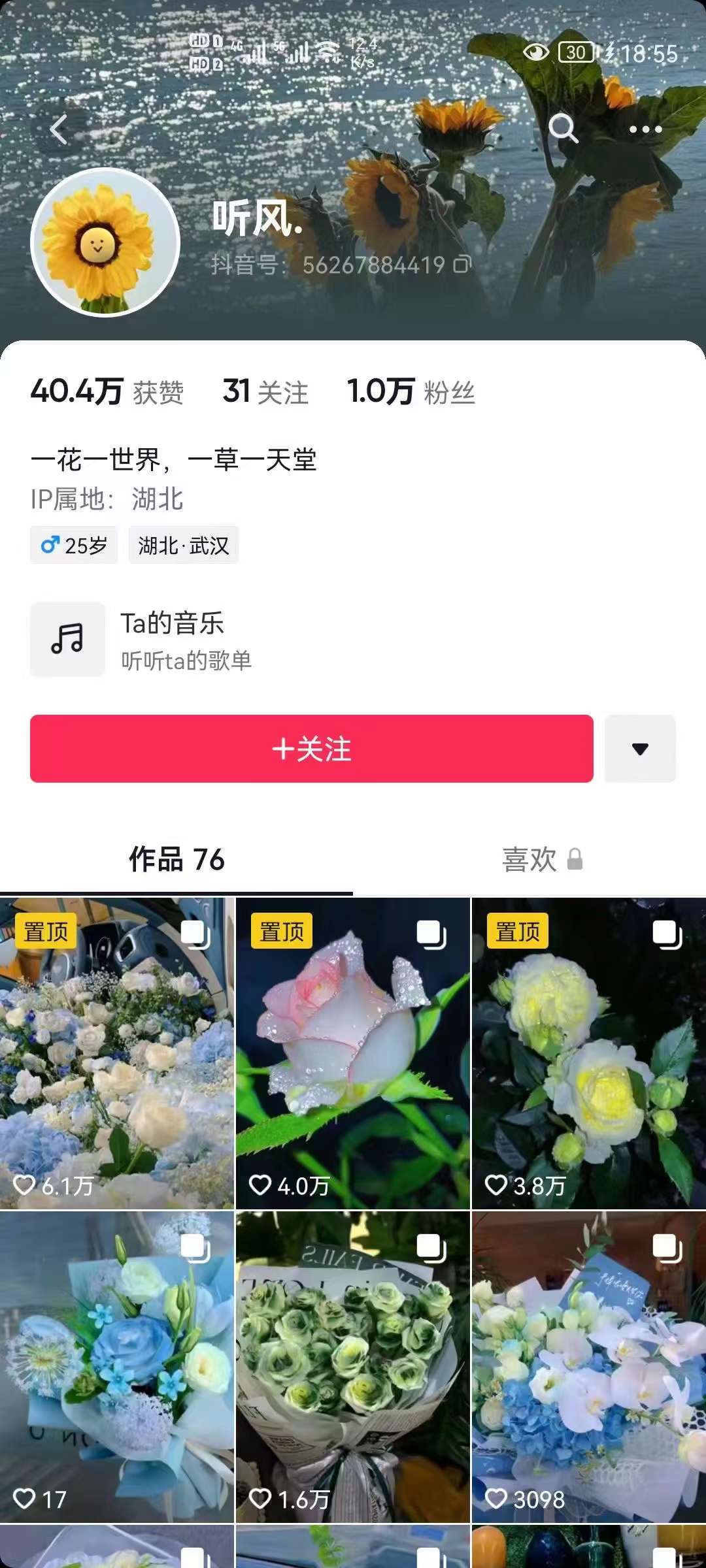 图片[2]-抖音壁纸变现项目：实战日入380 发布壁纸素材获取收益！-创想网