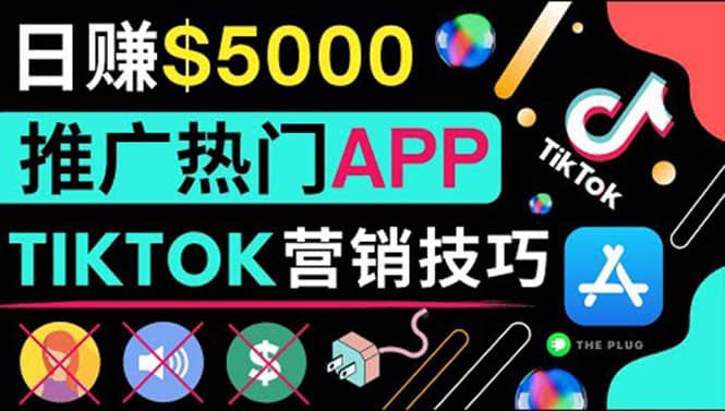 无需露脸，无需录音，无需投资，TIKTOK上传短视频，最高日入5000美元-创想网