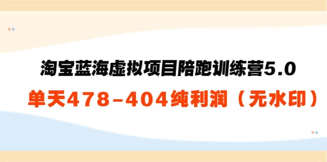淘宝蓝海虚拟项目陪跑训练营5.0：单天478纯利润（无水印）-创想网