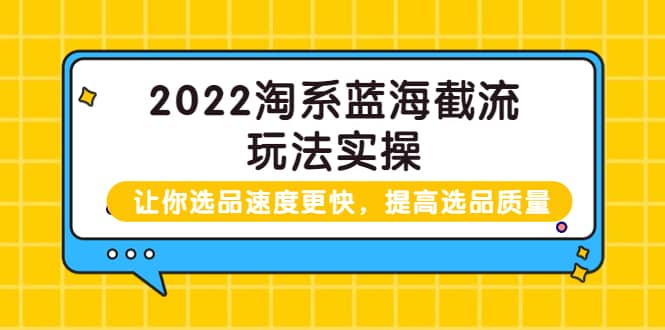 2022淘系蓝海截流玩法实操：让你选品速度更快，提高选品质量（价值599）-创想网