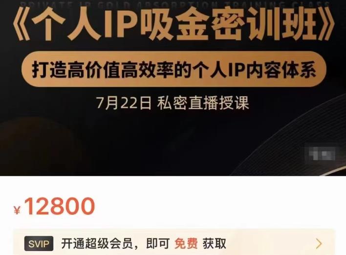 个人IP吸金密训班，打造高价值高效率的个人IP内容体系（价值12800元）-创想网