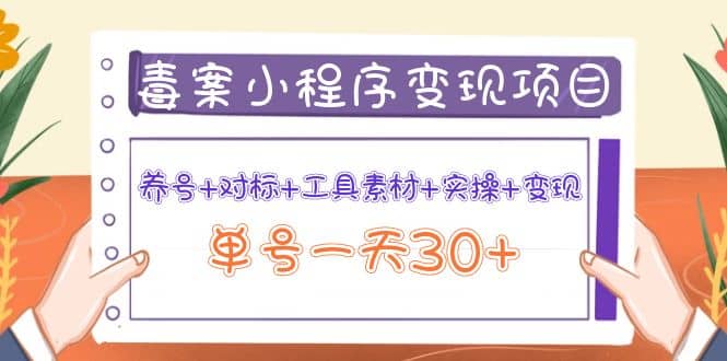 毒案小程序变现项目：养号 对标 工具素材 实操 变现-创想网