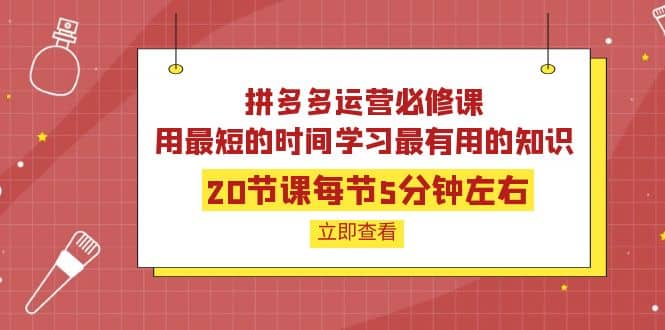 拼多多运营必修课：20节课每节5分钟左右，用最短的时间学习最有用的知识-创想网