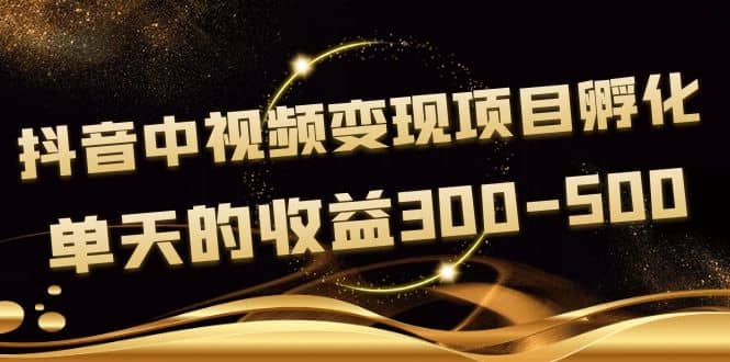 黄岛主《抖音中视频变现项目孵化》单天的收益300-500 操作简单粗暴-创想网