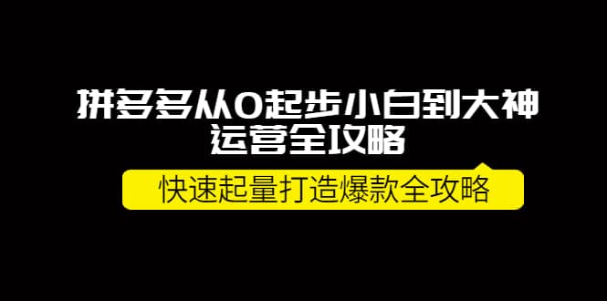 拼多多从0起步小白到大神运营全攻略-创想网