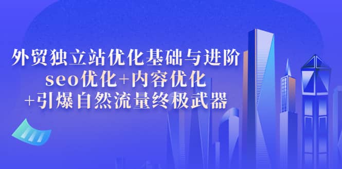 外贸独立站优化基础与进阶，seo优化 内容优化 引爆自然流量终极武器-创想网