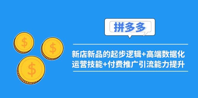2022拼多多：新店新品的起步逻辑 高端数据化运营技能 付费推广引流能力提升-创想网