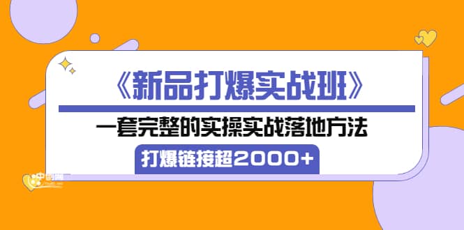《新品打爆实战班》一套完整的实操实战落地方法，打爆链接超2000 （38节课)-创想网