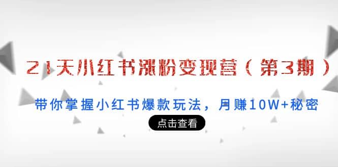 21天小红书涨粉变现营（第3期）：带你掌握小红书爆款玩法，月赚10W 秘密-创想网