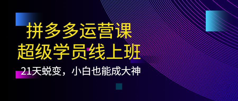 拼多多运营课：超级学员线上班，21天蜕变，小白也能成大神-创想网