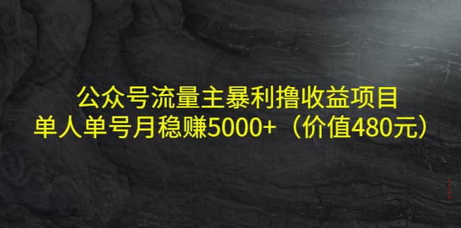 公众号流量主暴利撸收益项目，单人单号月稳赚5000 （价值480元）-创想网
