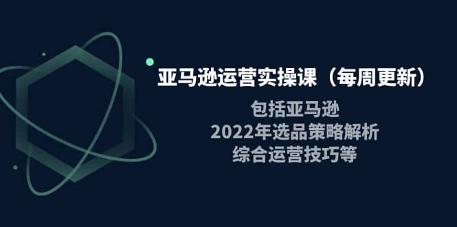 亚马逊运营实操课（每周更新）包括亚马逊2022选品策略解析，综合运营技巧等-创想网