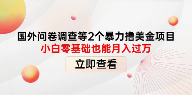 国外问卷调查等2个暴力撸美元项目，小白零基础也能月入过万-创想网
