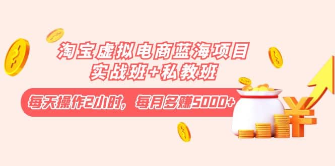 淘宝虚拟电商蓝海项目实战班 私教班-创想网
