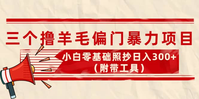 外面卖998的三个撸羊毛项目，小白零基础照抄（附带工具）-创想网