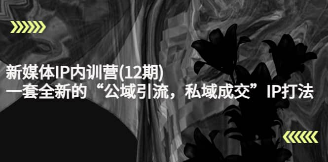 新媒体IP内训营(12期)，一套全新的“公域引流，私域成交”IP打法，直接带走-创想网