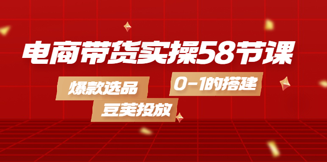 电商带货实操58节课，爆款选品，豆荚投放，0-1的搭建-创想网