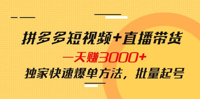 拼多多短视频 直播带货，一天赚3000 独家快速爆单方法，批量起号-创想网