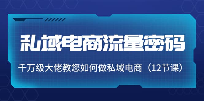 私域电商流量密码：千万级大佬教您如何做私域电商（12节课）-创想网