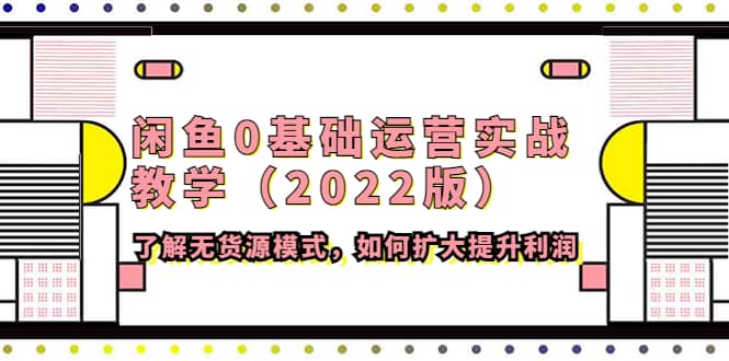 闲鱼0基础运营实战教学（2022版）了解无货源模式，如何扩大提升利润-创想网
