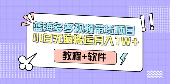 人人都能操作的蓝海多多视频带货项目 小白无脑搬运（教程 软件）-创想网